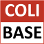 Colibase ERP